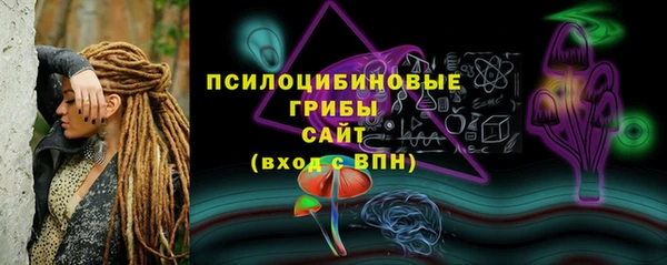 соль ск Абаза