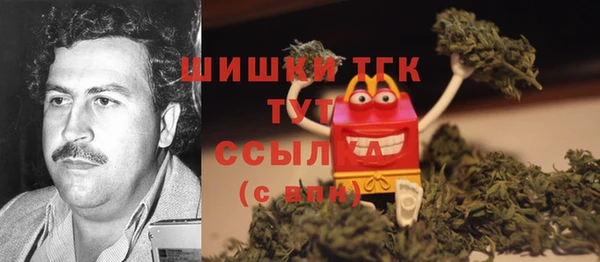 соль ск Абаза
